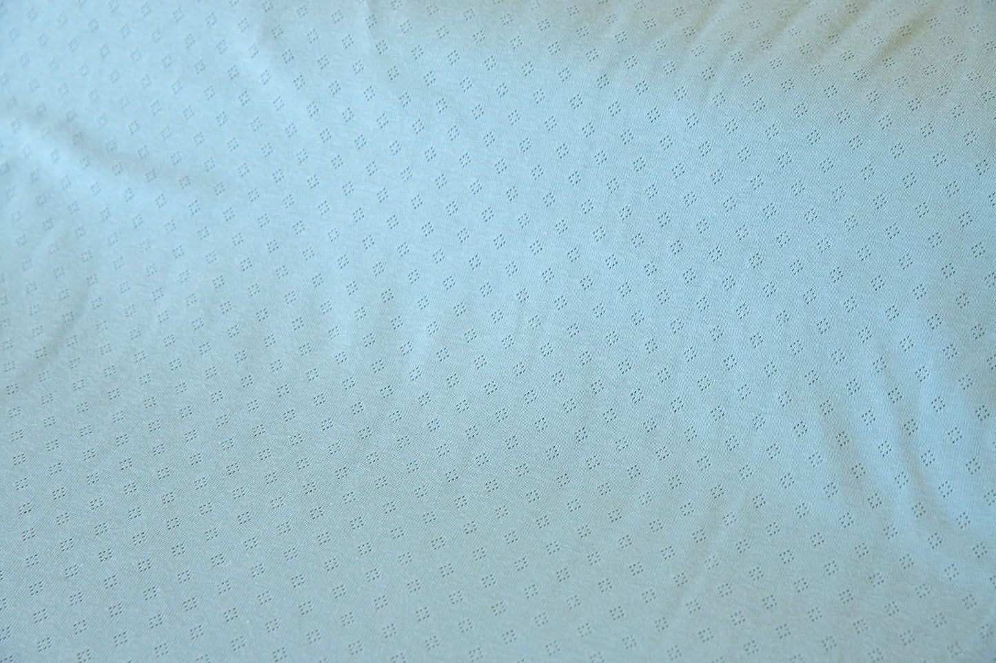 100% Cotton Pointelle - Light Green (OEKO-TEX Standard 100)
