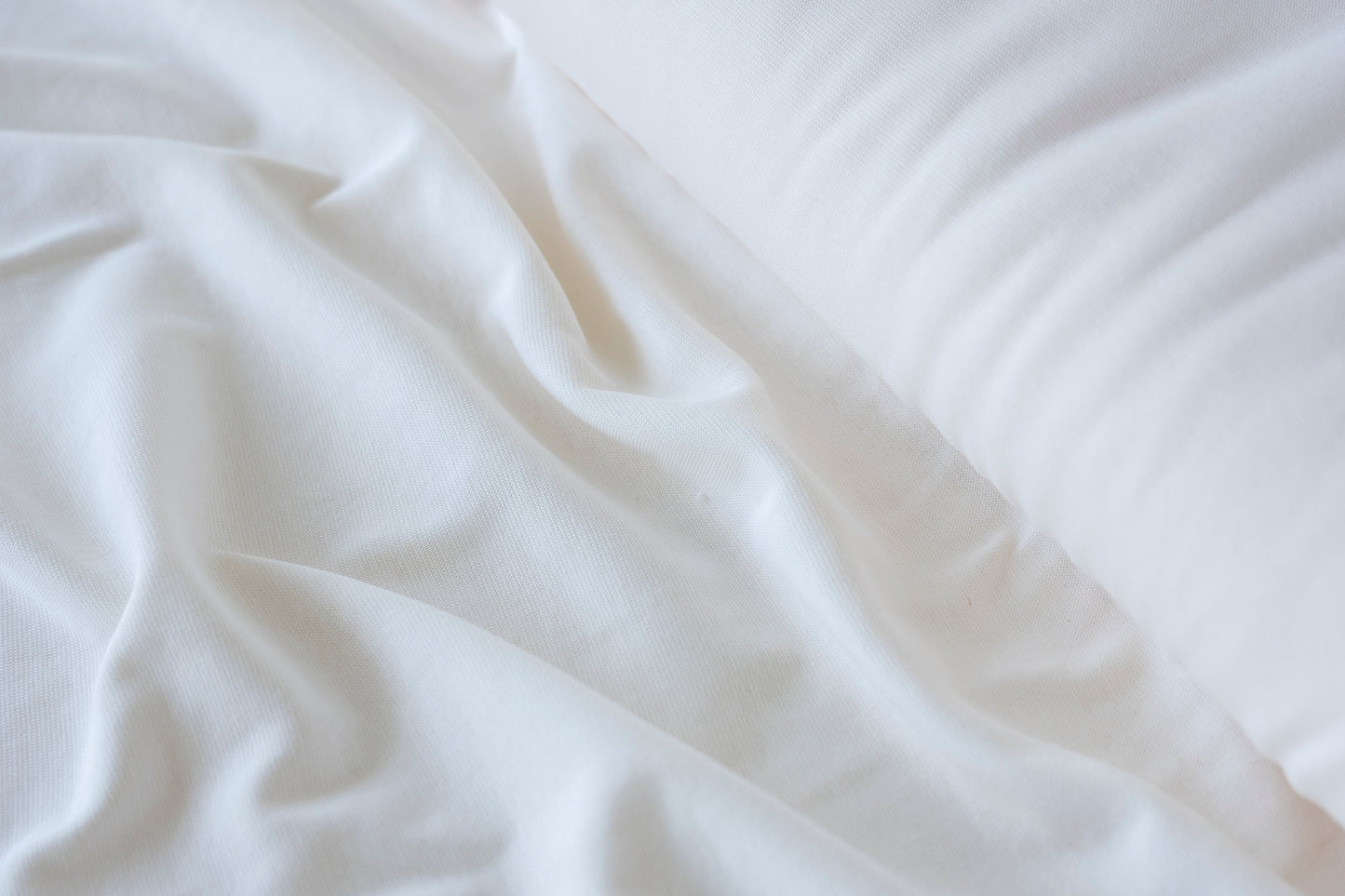 Avalon 1x1 Rib Knit - Cream