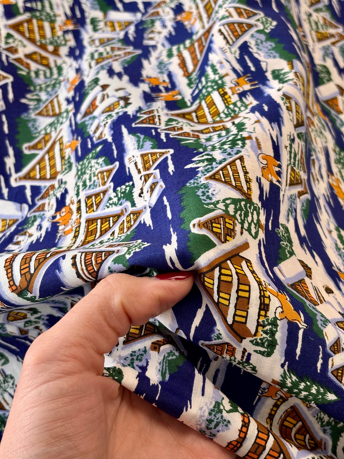 Asnano - Shiba-inu at Winter Chalet