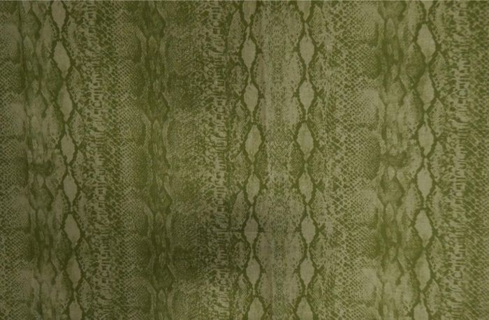 Iguana Rainforest Chambray