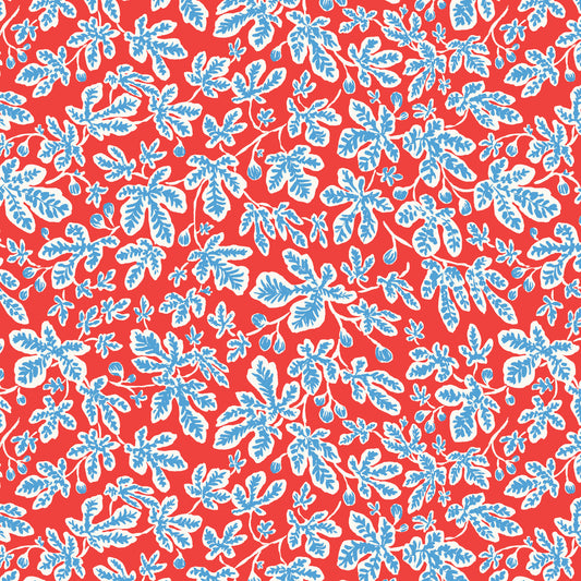 Nice Nice - Fig Trees