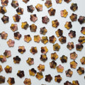 Folklore Shirt Buttons (15mm)