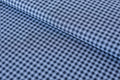 Essex Yarn Dyed Classic Gingham