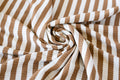Yarn Dyed Stripe Rib - Cinnamon
