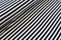 Yarn Dyed Stripe Rib - Black