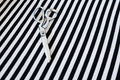 Yarn Dyed Stripe Rib - Black