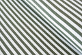 Yarn Dyed Stripe Rib - Pickle