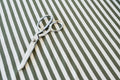 Yarn Dyed Stripe Rib - Pickle