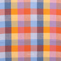 Fine & Dandy 1 Inch Happy Checkers in Cornucopia