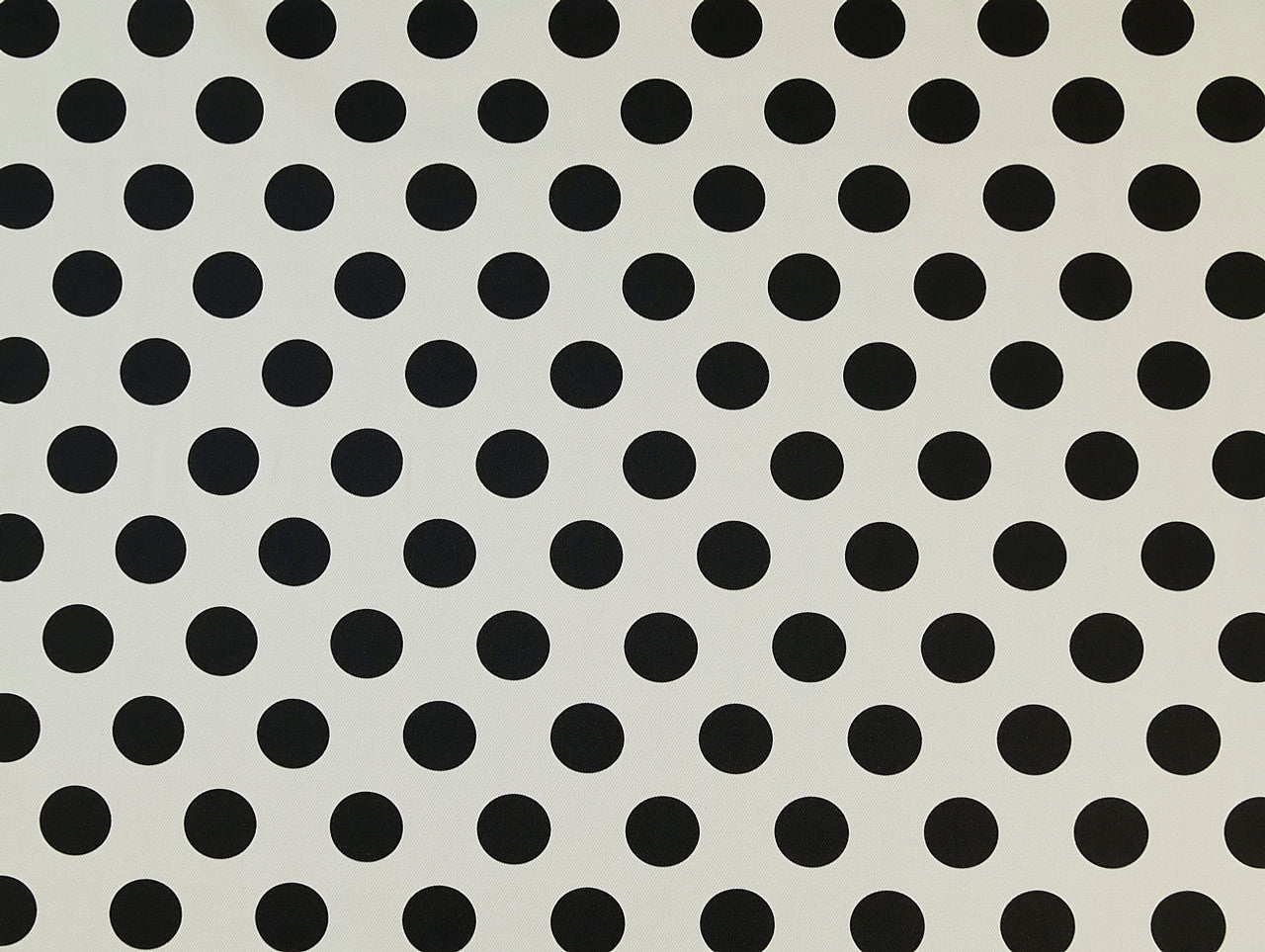 Kit Polka Dot Denim - Ivory