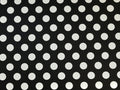Kit Polka Dot Denim - Black