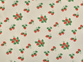 Strawberry Fayre Denim