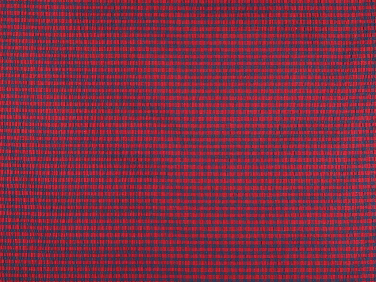 Gingham Seersucker - Red & Navy
