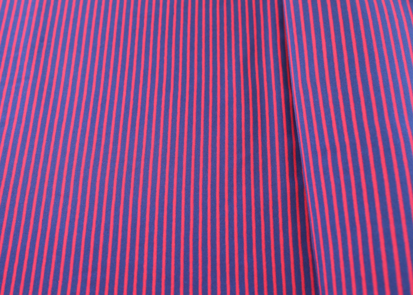 Harbor Stripe Cotton Jersey - Regatta