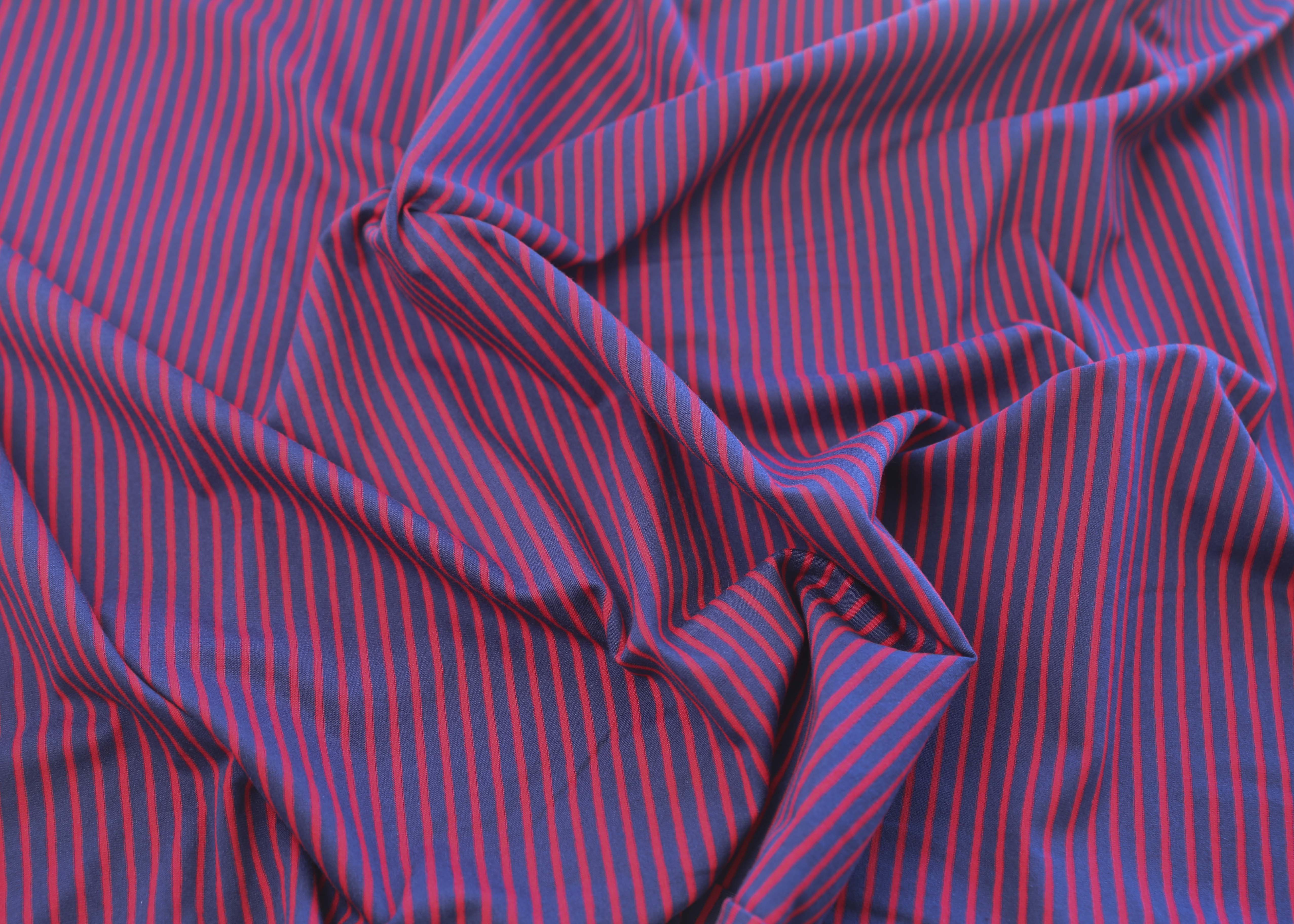 Harbor Stripe Cotton Jersey - Regatta