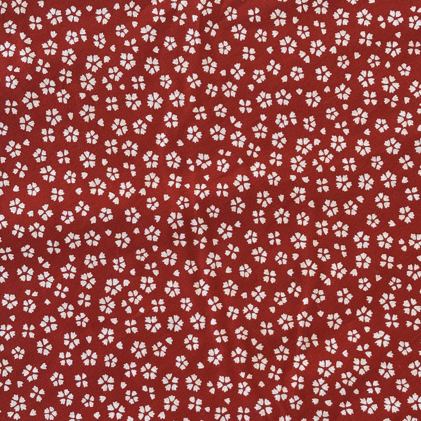 Sevenberry - Red Cherry Blossom Sakura