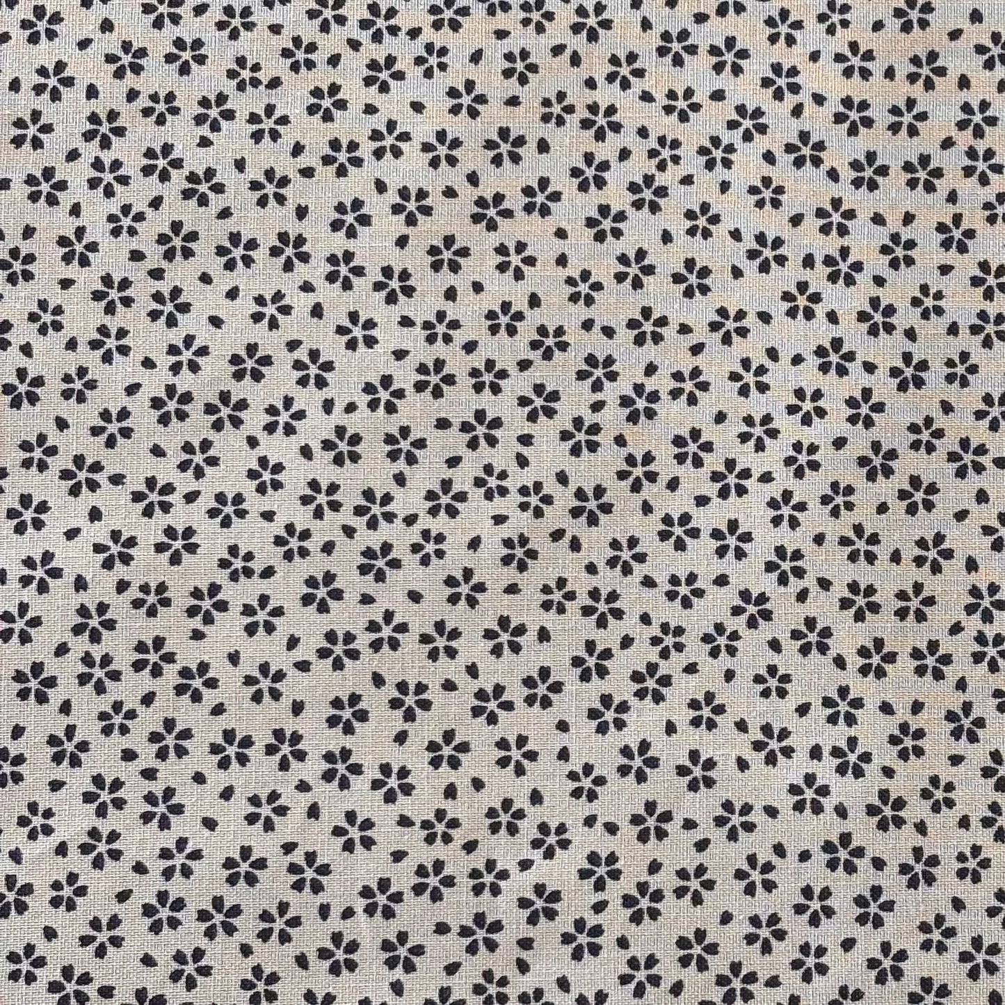 Sevenberry - Off-White Cherry Blossom Sakura