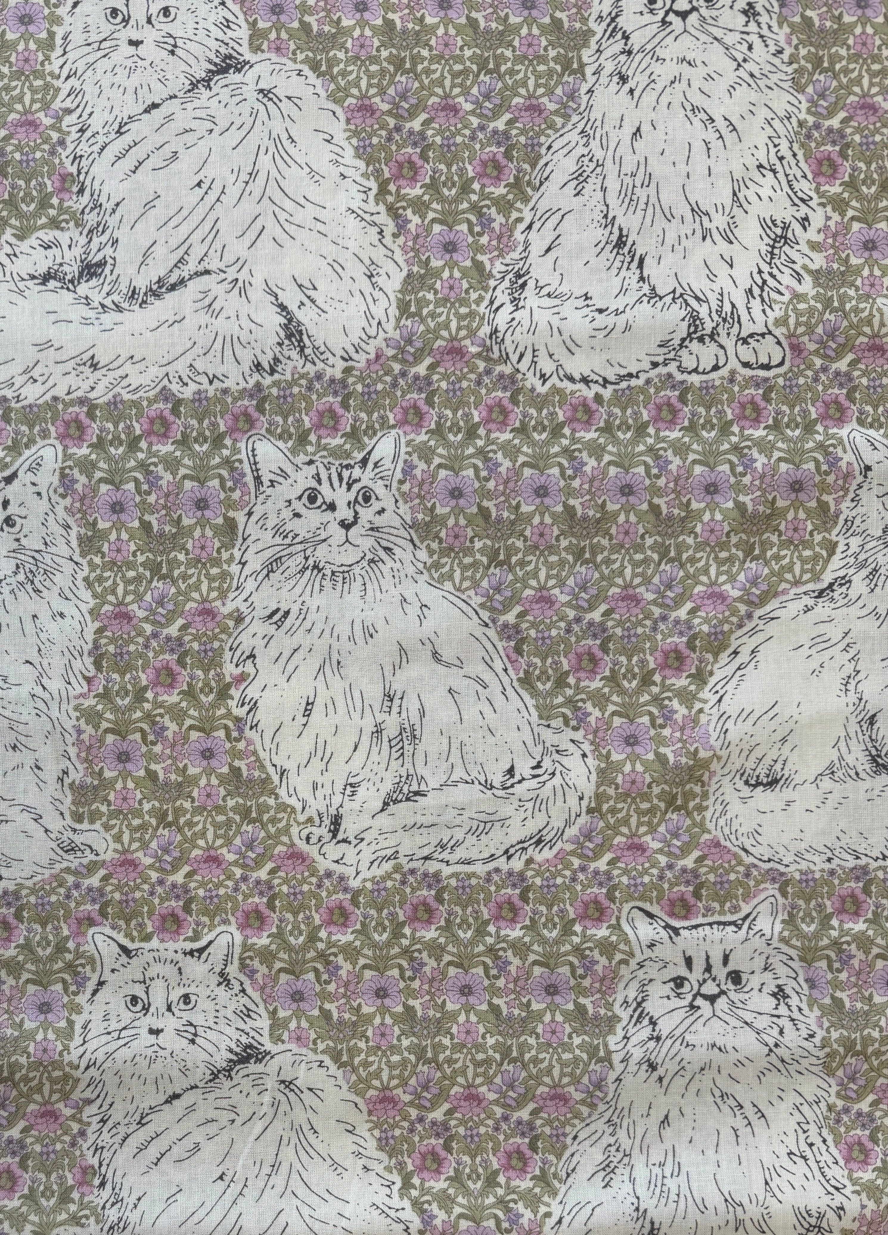 Cats Playground
