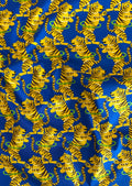 Hula Hoop Tigers