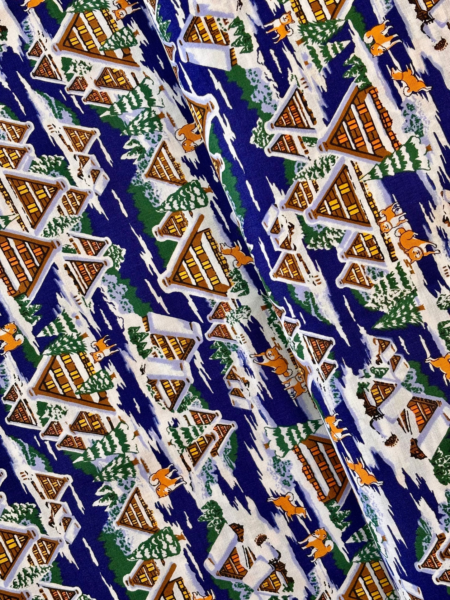 Asnano - Shiba-inu at Winter Chalet