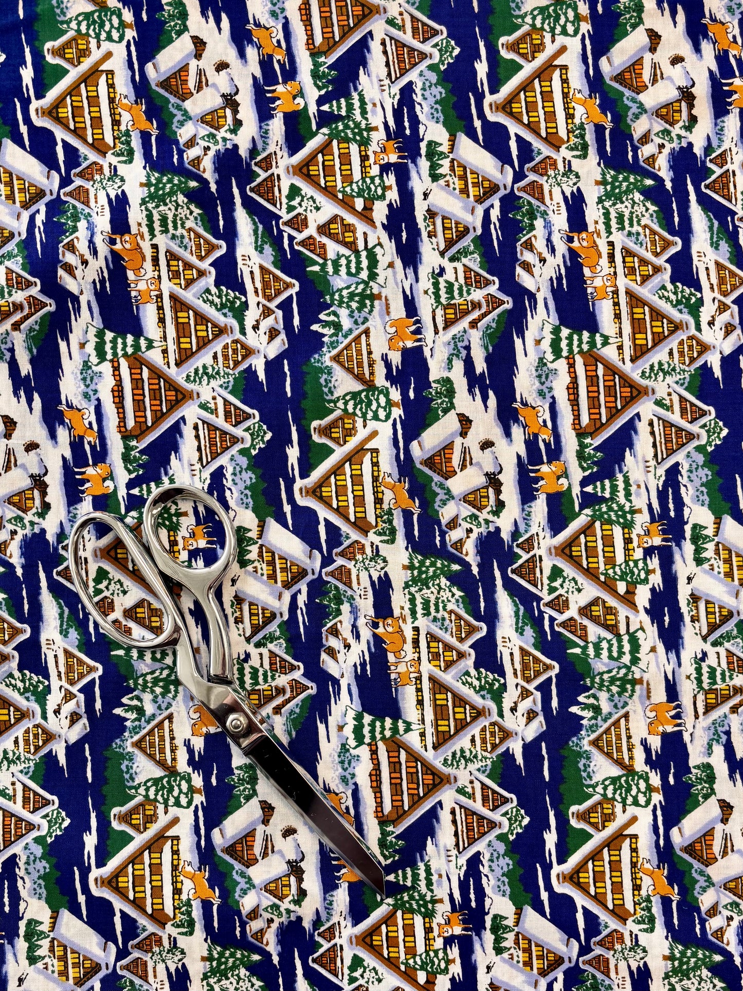 Asnano - Shiba-inu at Winter Chalet