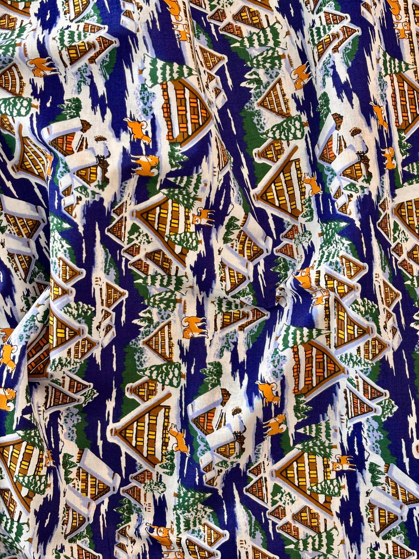 Asnano - Shiba-inu at Winter Chalet