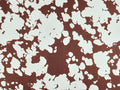 Jessie Cow Print Denim