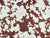 Jessie Cow Print Denim