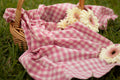 Picnic Wovens - Gingham in Bubblegum