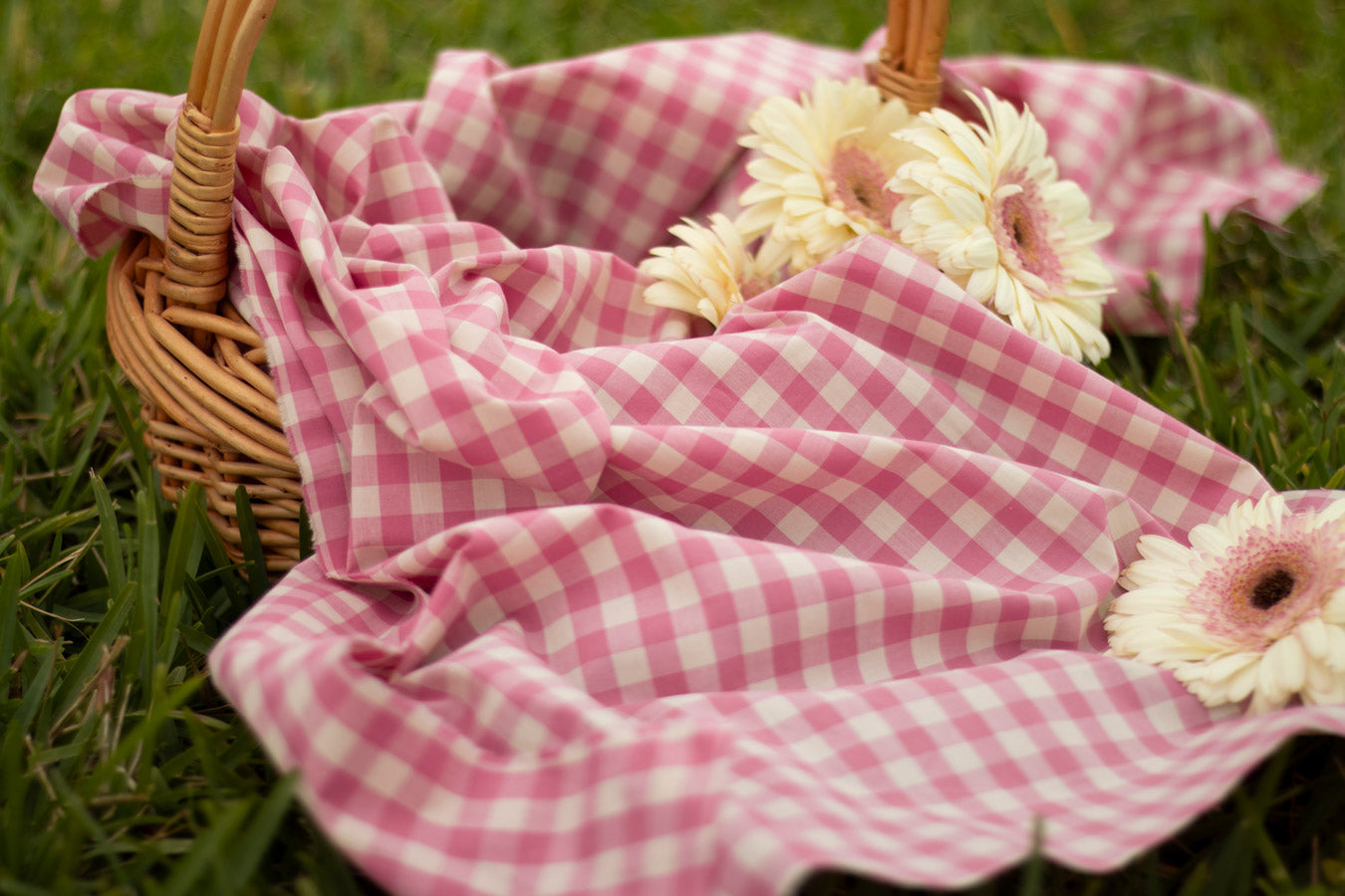Picnic Wovens - Gingham in Bubblegum