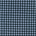 Essex Yarn Dyed Classic Gingham