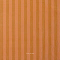 Sun Stripes in Desert Clay