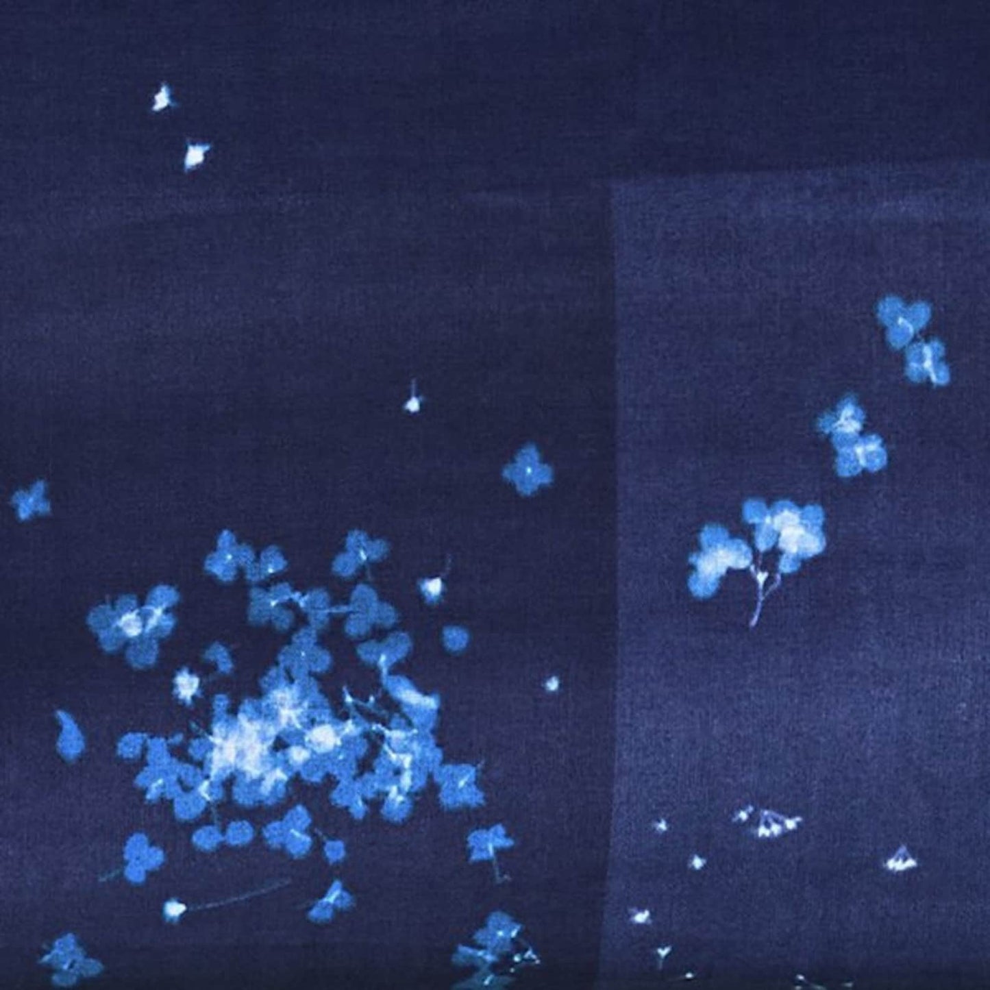 Nani Iro Double Gauze - Microcosmos