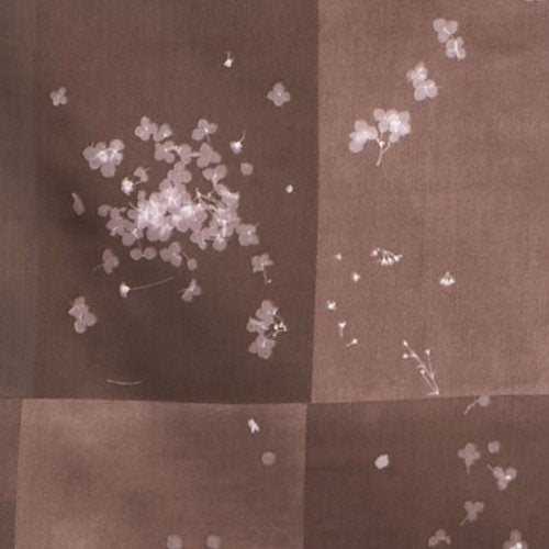 Nani Iro Cotton Sateen - Microcosmos