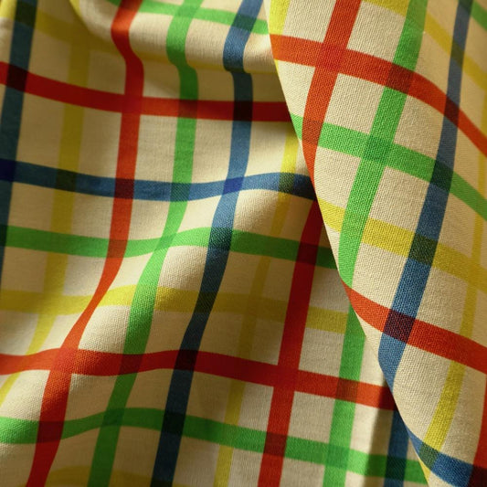 Heavy Cotton Canvas - Rainbow Grid