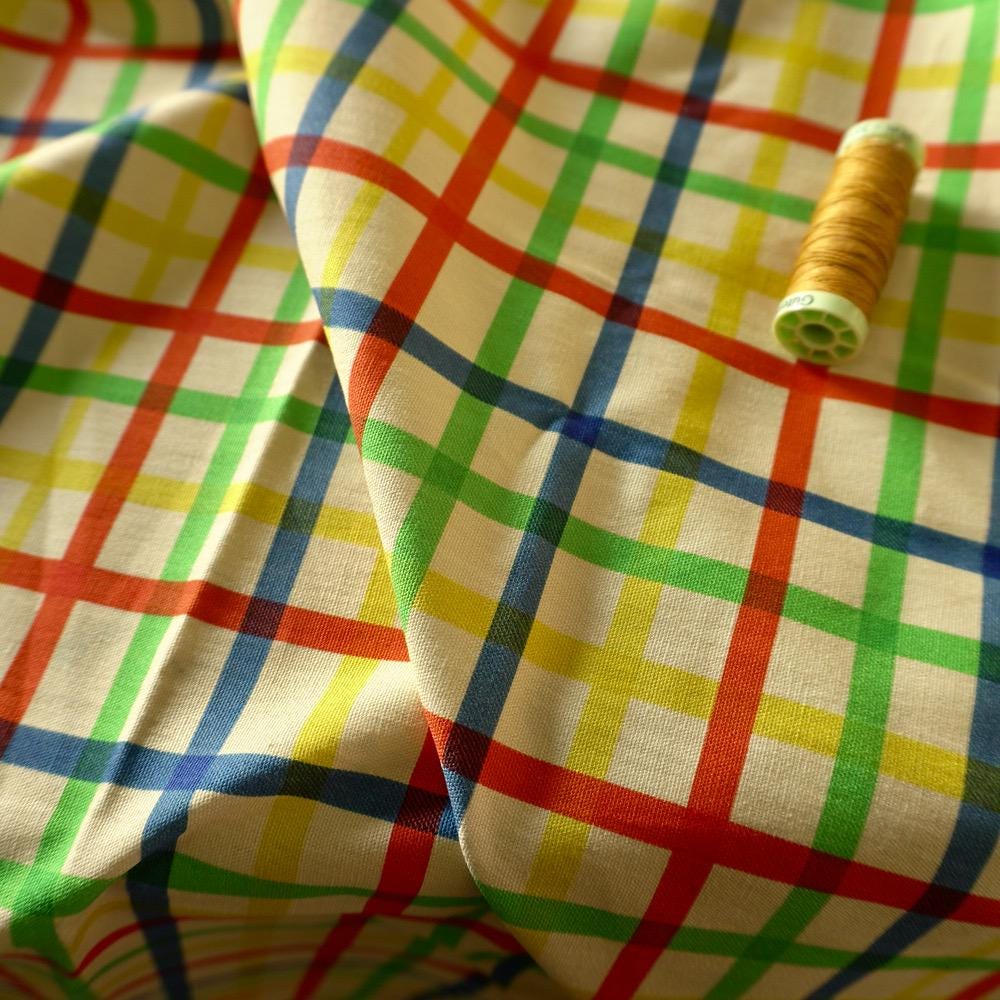 Heavy Cotton Canvas - Rainbow Grid