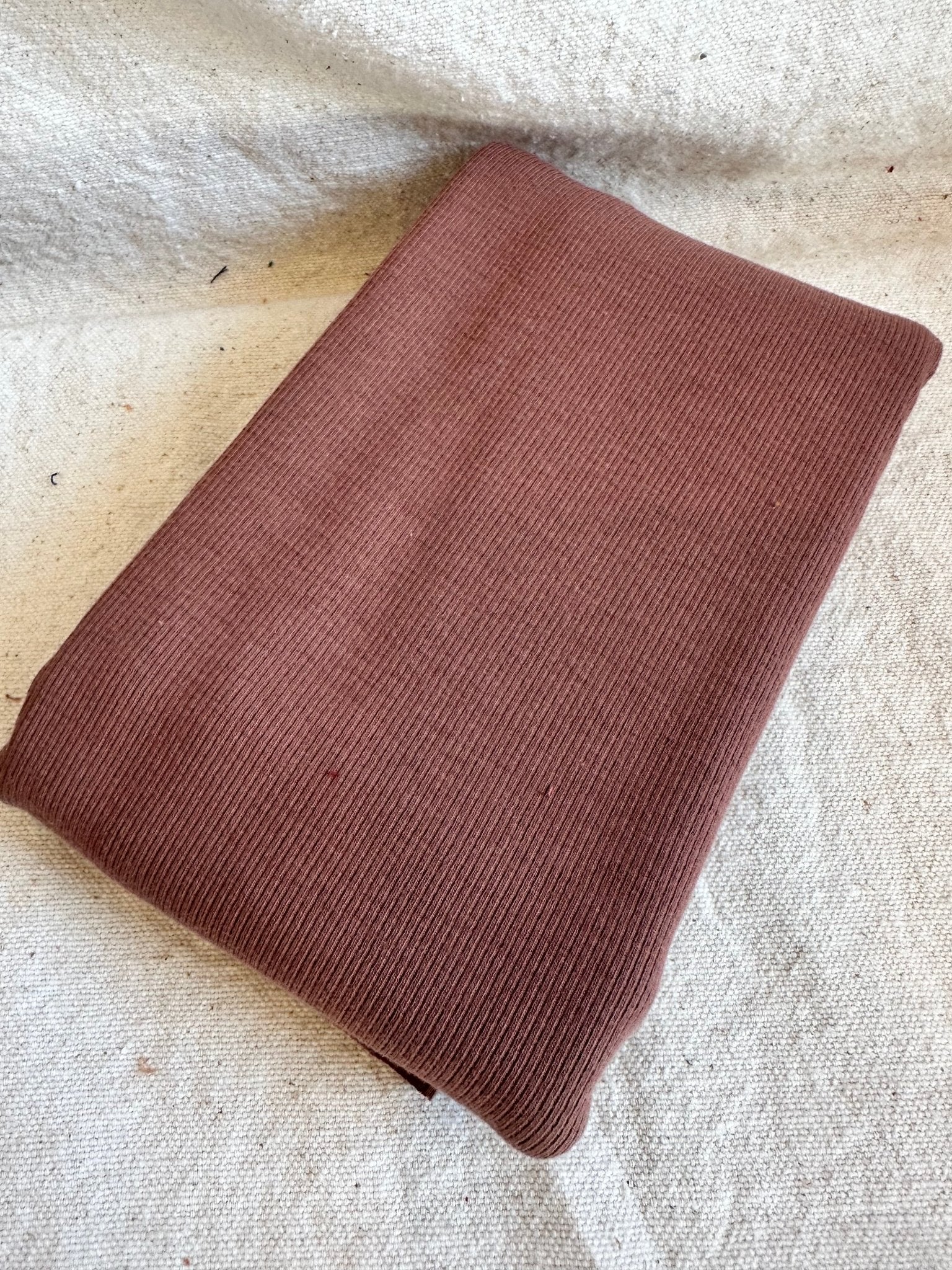 Organic American Milled Cotton Rib - Cocoa