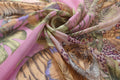 Silk Blend Lawn - Tigers In Vegas