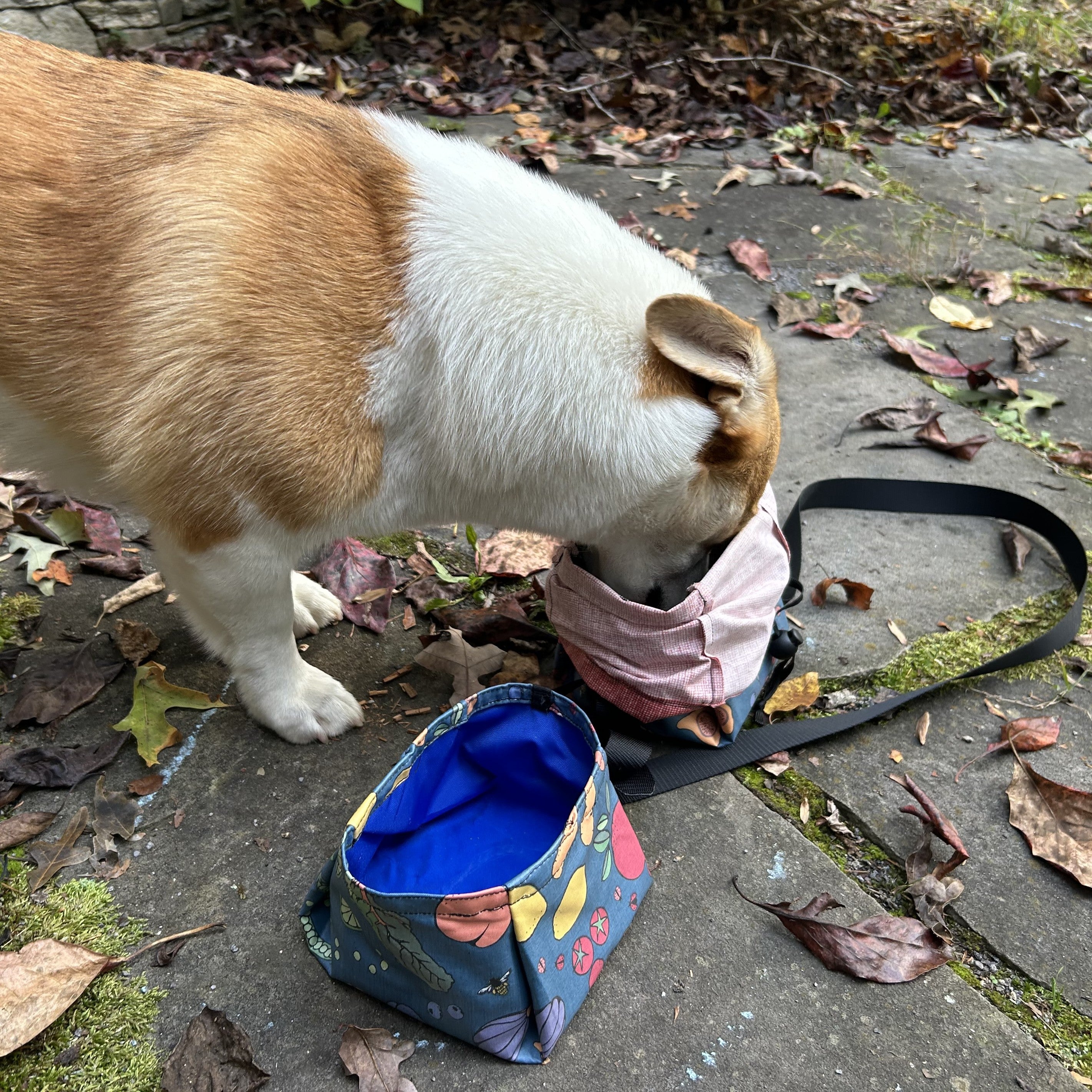 558 – Folding Pet Bowl & Chow Bag Pattern